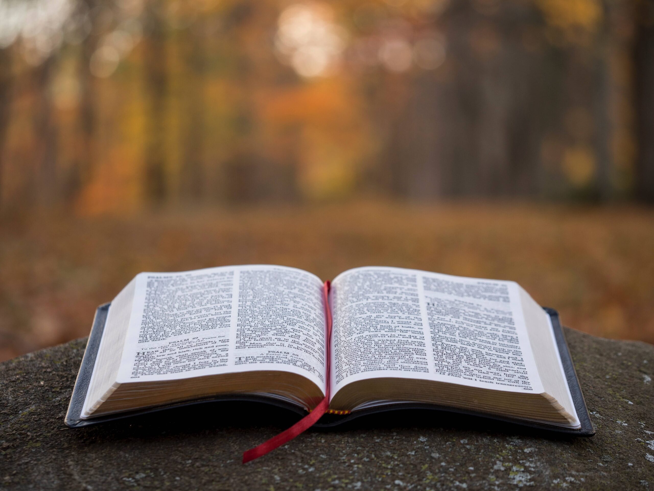 An open bible lays on the ground. Christian counseling in Raleigh NC can help you through your struggle and build your faith. We provide counseling that incorporates a biblical worldview and clinical techniques. Start working with a Christian counselor in Raleigh, NC today!