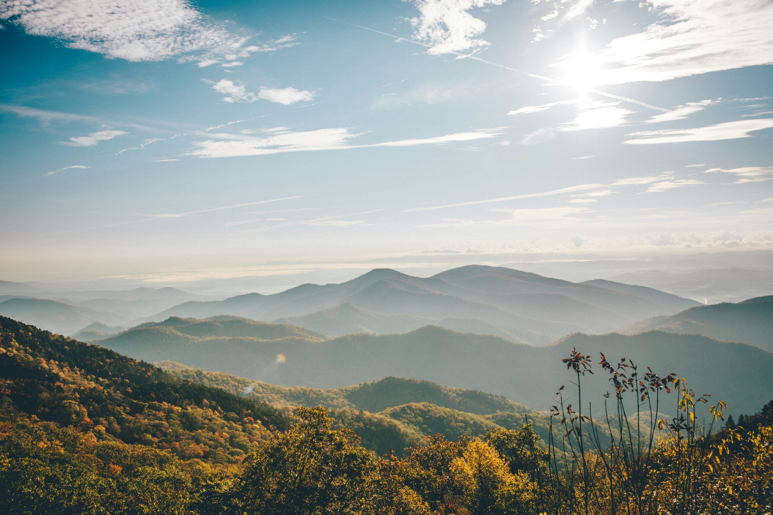 steps to boundaries in North Carolina